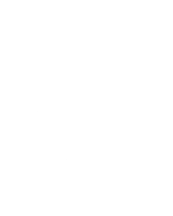 Naseem white logo with a clear background